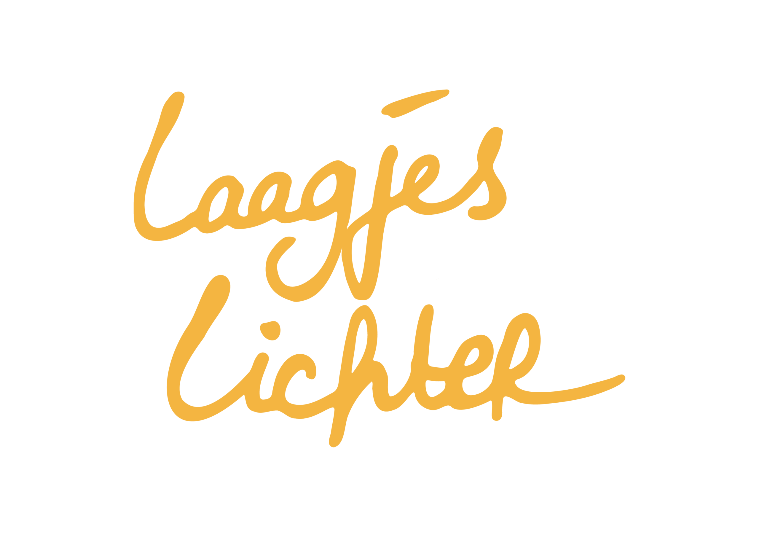 Laagjeslichter.nl